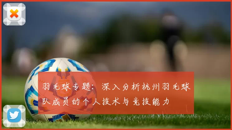 羽毛球专题：深入分析杭州羽毛球队成员的个人技术与竞技能力