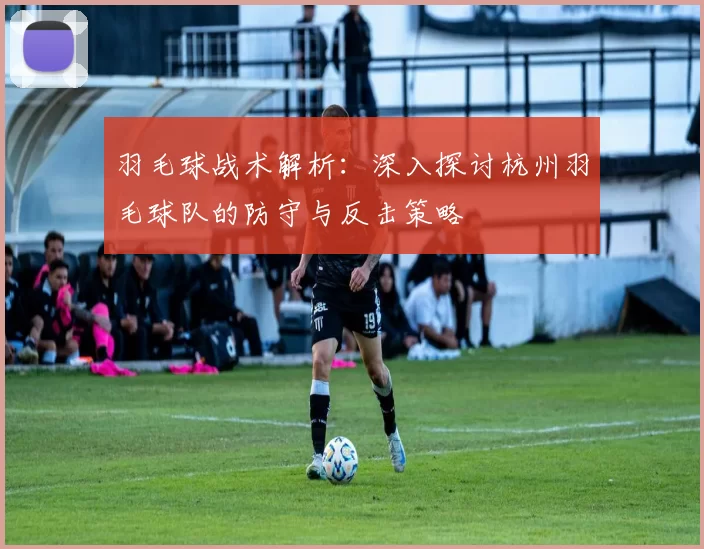 羽毛球战术解析：深入探讨杭州羽毛球队的防守与反击策略