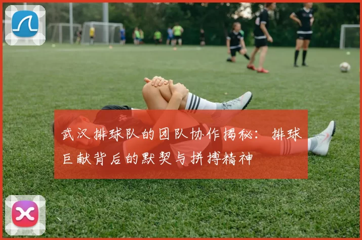 武汉排球队的团队协作揭秘：排球巨献背后的默契与拼搏精神