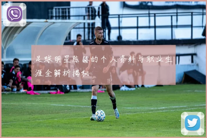 足球明星陈赫的个人资料与职业生涯全解析揭秘